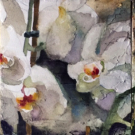 Orchid 1, 2 and 3 (Triptych)
6x18 Wood Panel with Ground
SOLD - Collectors in California Orchid 1, 2 and 3 (Triptych)
6x18 Wood Panel with Ground
SOLD - Collectors in California